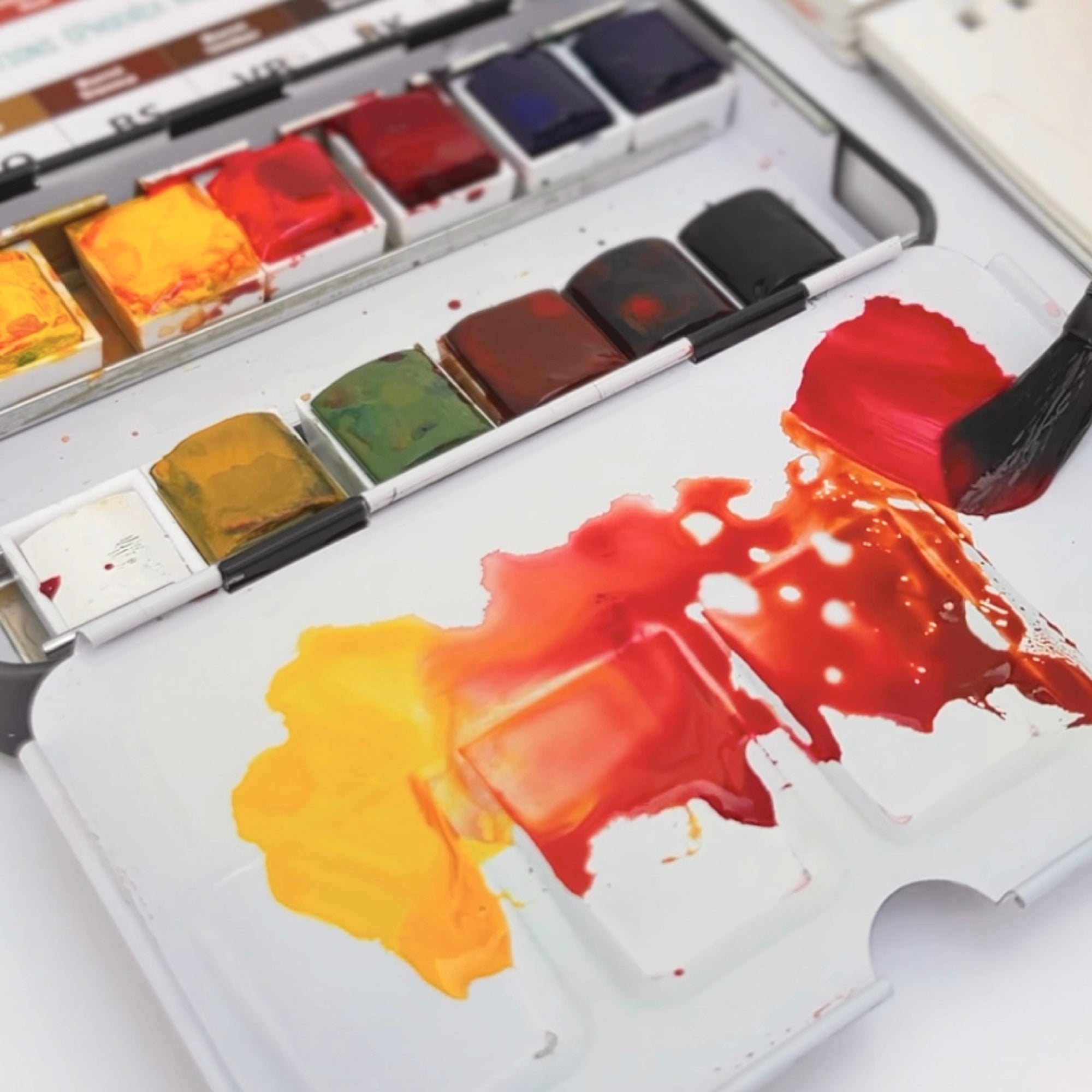 Insparea-Phoenix Paints Set (12 Colors) PRO-level